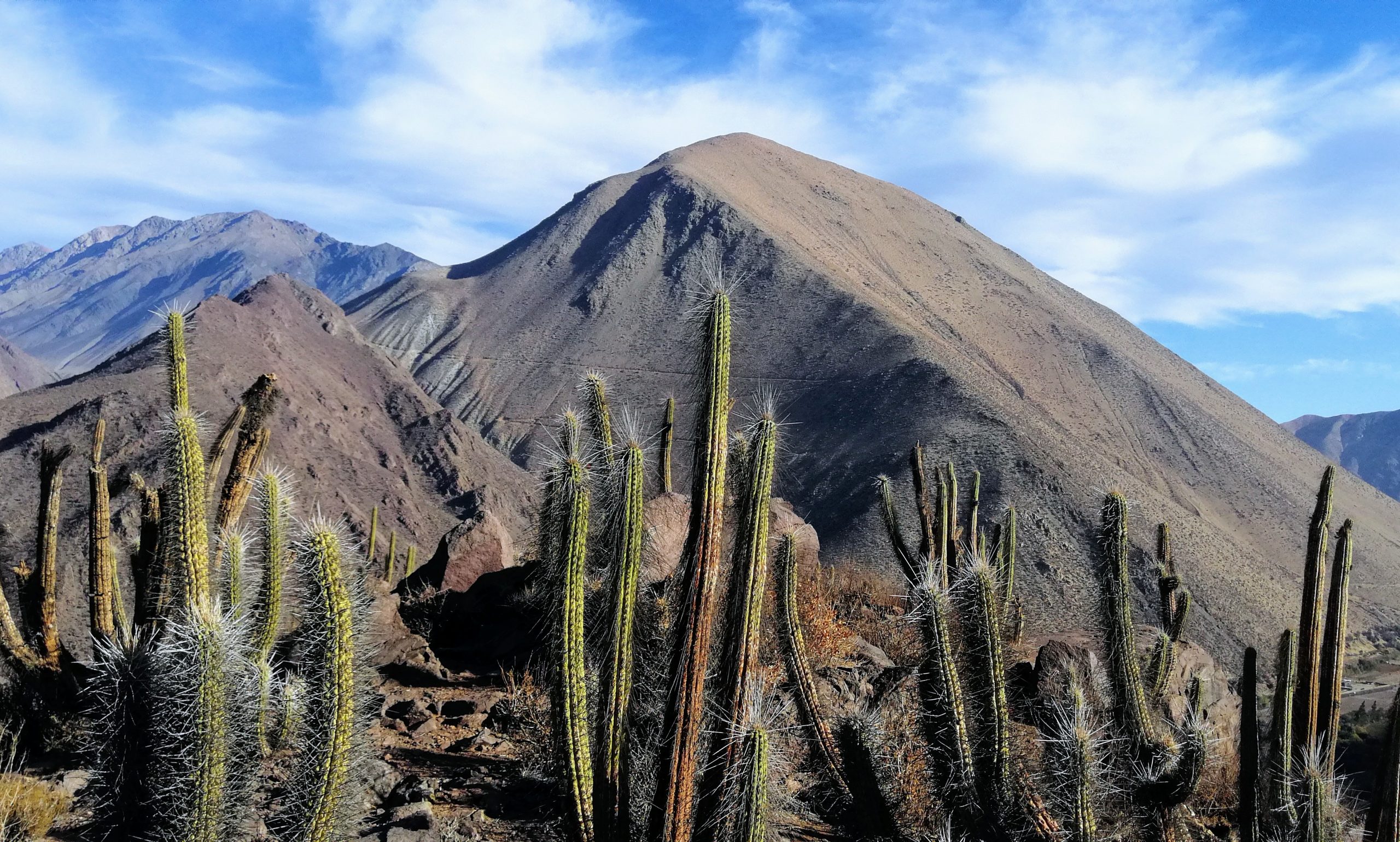 Copia de IMG_20230726_221631