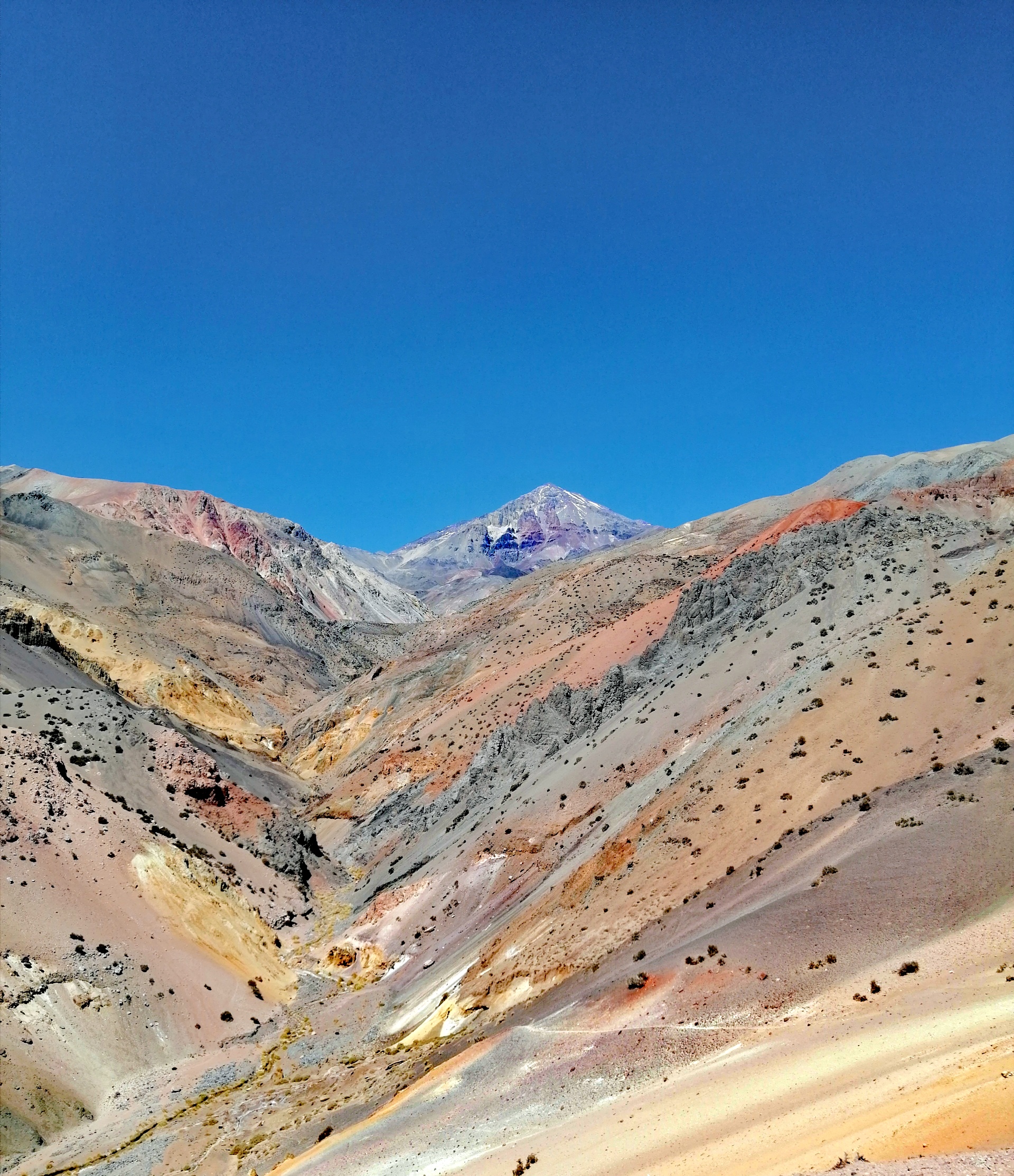 IMG_20220817_211133_edit_4384754687870