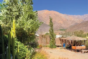 CASA 10