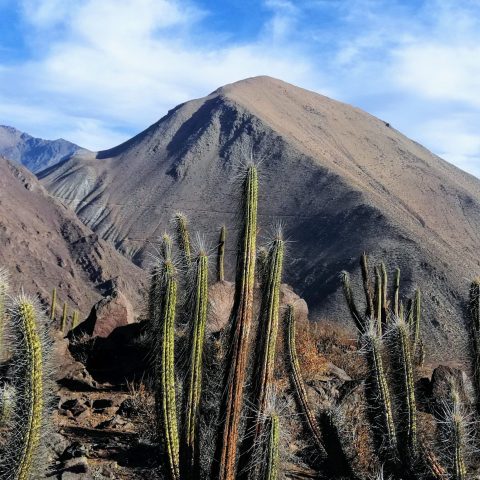 Copia de IMG_20230726_221631