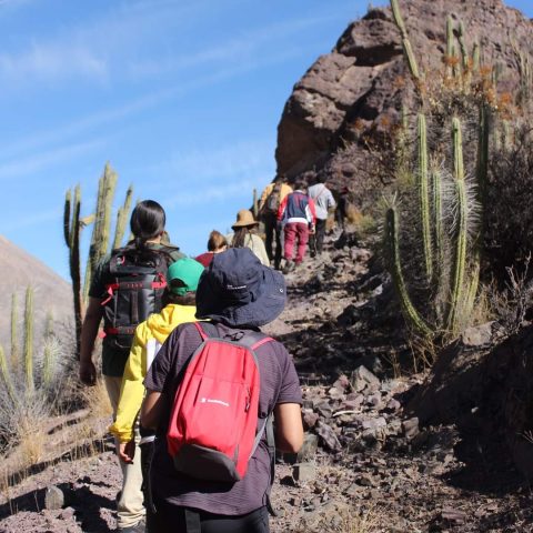 FB_IMG_1721689869771